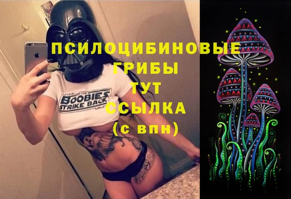 спиды Алексеевка